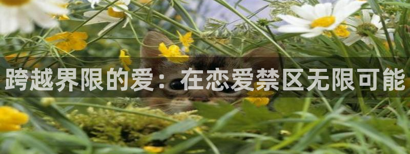 韩漫漫画日漫：跨越界限的爱：在恋爱禁区无限可能