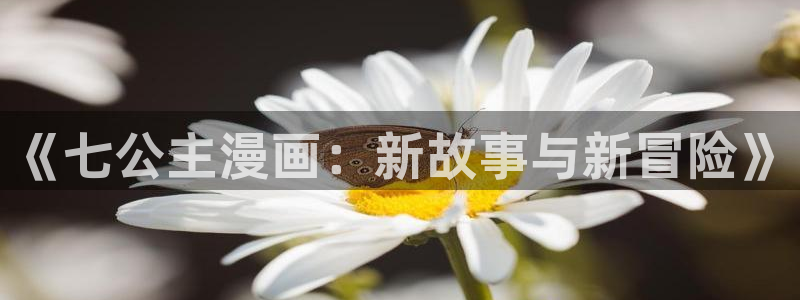 韩漫漫画男同：《七公主漫画：新故事与新冒险》